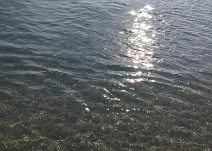 Bella Vista *